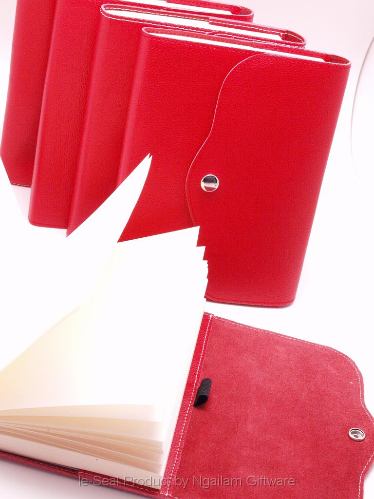 21-003-11-RED (2).JPG